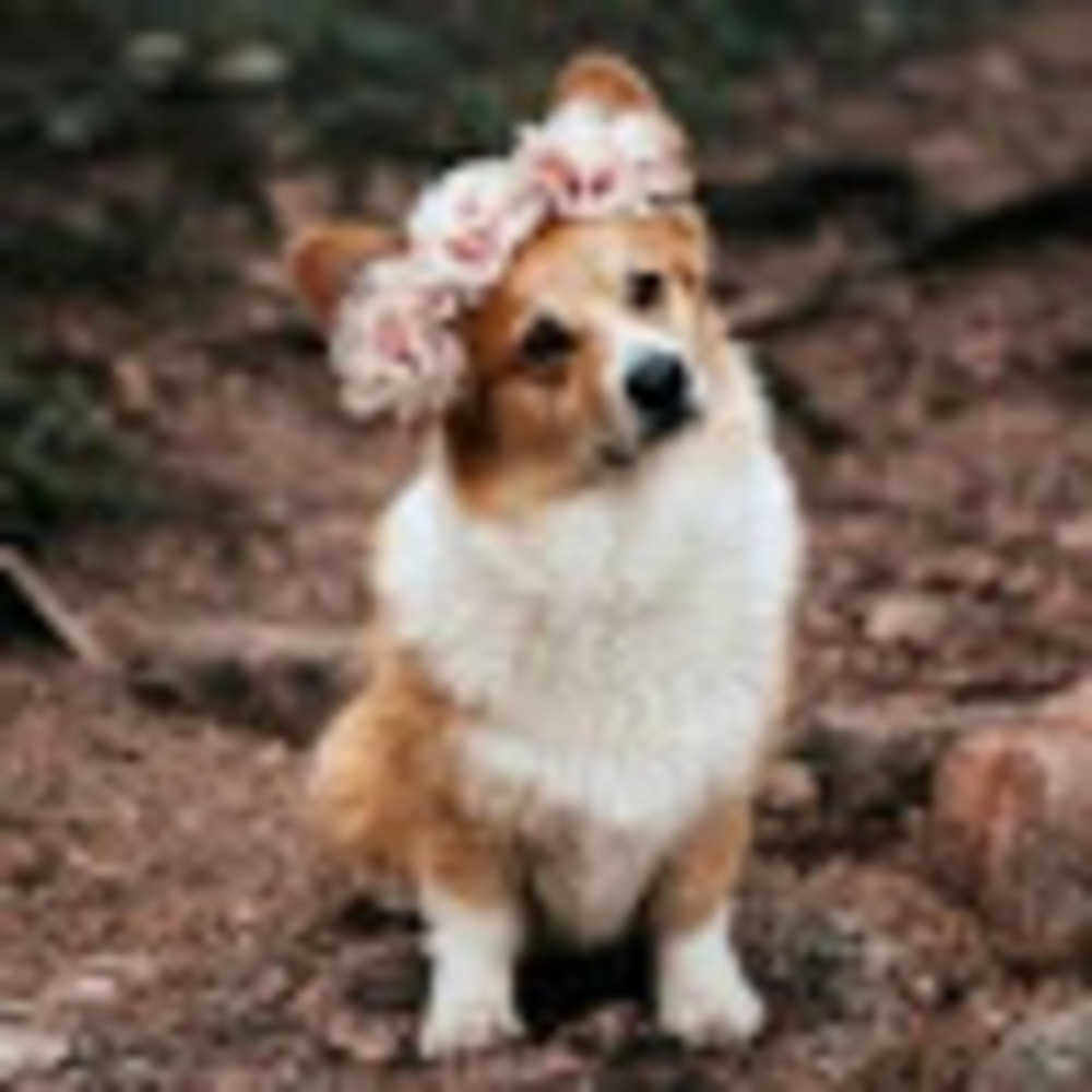 Meet your Posher, Brynn